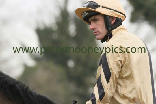 ruby-walsh-150215pml367