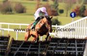 pont-alexandre-pml-00113891