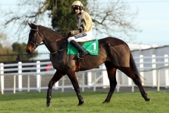 Boston Bob PML 00173138