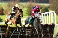 Boston Bob PML 00173146