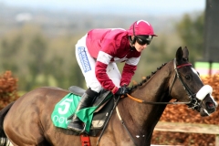 Don Cossack PML 00173192
