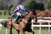 irish-thistle-pml-00118554