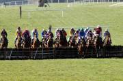 navan-pml-00118534