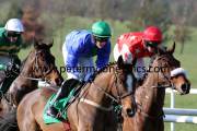navan-pml-00118537