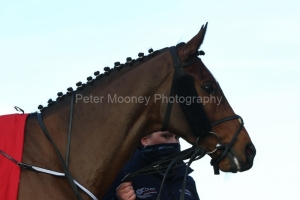 21 February 2021;  Tiger Roll prior to taking part in The Ladbrokes Ireland Boyne  Hurdle at Navan.  © Peter Mooney, 59 Upper George's Street, Dun Laoghaire, Co. Dublin, A96 H2R3, Ireland  Tel: 00 353 (0)86 2589298