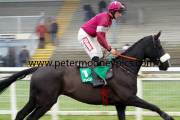 don-cossack-pml-00113558