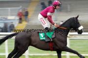don-cossack-pml-00113558