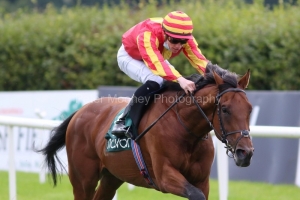 29 August 2020;  Galileo Chrome and Shane Crosse run out easy winners of The Irish Stallion Farms European Breeders Fund Yeats Stakes at Navan.© Peter Mooney, 59 Upper George's Street, Dun Laoghaire, Co. Dublin, A96 H2R3, Ireland  Tel: 00 353 (0)86 2589298