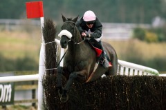 Mansony PML 0084446.JPG