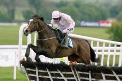 Mikael D'Haguenet PML 0089940.JPG