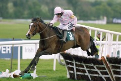 Mikael D'Haguenet PML 0089941.JPG