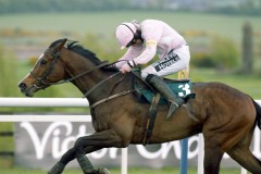 Mikael D'Haguenet PML 0089949.JPG