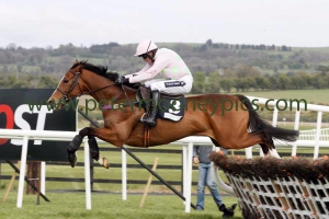 faugheen-010515pml415 faugheen-010515pml415