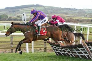 wicklow-brave-020214pml0463 wicklow-brave-020214pml0463