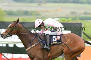 vautour-020514pml1156 vautour-020514pml1156