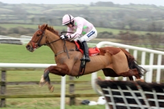 Allure Of Illusion-PML 00176006