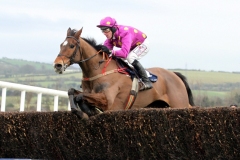 Big Zeb-PML 00176037