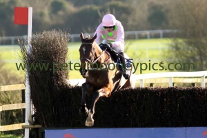 douvan-050217pml0486 douvan-050217pml0486