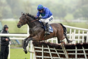 Hurricane Fly-PML 00153748 Hurricane Fly-PML 00153748