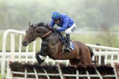 Hurricane Fly-PML 00153747