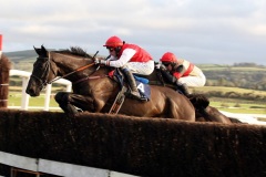 Joncol PML 00106579.JPG