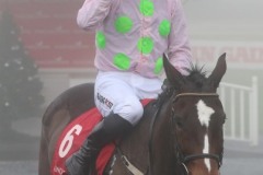 6 December 2020;  Min, Patrick Mullins aboard, returns to the winner's enclosure after winning The John Durkan Memorial Punchestown Steeplechase at Punchestown. © Peter Mooney, 59 Upper George's Street, Dun Laoghaire, Co. Dublin, A96 H2R3, Ireland  Tel: 00 353 (0)86 2589298