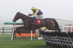 6 December 2020; Skyace, ridden by Jody McGarvey, jumps the final flight before winning The Voler La Vedette Mares  Novice Hurdle at Punchestown. © Peter Mooney, 59 Upper George's Street, Dun Laoghaire, Co. Dublin, A96 H2R3, Ireland  Tel: 00 353 (0)86 2589298