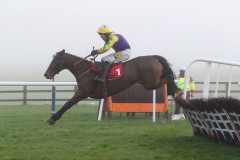 6 December 2020; Skyace, ridden by Jody McGarvey, jumps the final flight before winning The Voler La Vedette Mares  Novice Hurdle at Punchestown. © Peter Mooney, 59 Upper George's Street, Dun Laoghaire, Co. Dublin, A96 H2R3, Ireland  Tel: 00 353 (0)86 2589298