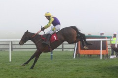 6 December 2020; Skyace, ridden by Jody McGarvey, jumps the final flight before winning The Voler La Vedette Mares  Novice Hurdle at Punchestown. © Peter Mooney, 59 Upper George's Street, Dun Laoghaire, Co. Dublin, A96 H2R3, Ireland  Tel: 00 353 (0)86 2589298