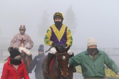 6 December 2020; Skyace, ridden by Jody McGarvey, returns to the winner's enclosure after winning The Voler La Vedette Mares  Novice Hurdle at Punchestown. © Peter Mooney, 59 Upper George's Street, Dun Laoghaire, Co. Dublin, A96 H2R3, Ireland  Tel: 00 353 (0)86 2589298
