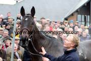 flemenstar-pml-00113815