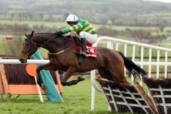 Please Talk-PML 00173006