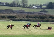 Punchestown 120125PML0275.jpg