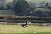 Punchestown 120125PML0278.jpg