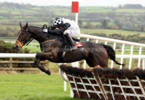 Dunguib PML 00105272.JPG