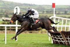 Dunguib PML 00105273.JPG