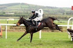 Dunguib PML 00105274.JPG