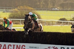 Aranleigh PML 00105330.JPG