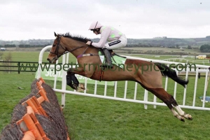 faugheen-151115pml0586