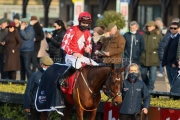 Hiaou 160122PML0204.JPG