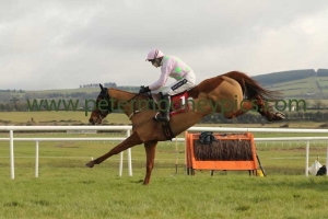 annie-power-170216pml630 annie-power-170216pml630