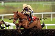 back-in-focus-pml-00110762