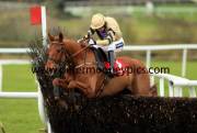 back-in-focus-pml-00110777