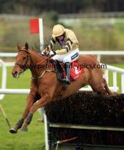 back-in-focus-pml-00110778