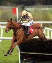 back-in-focus-pml-00110778