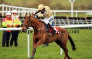 back-in-focus-pml-00110783