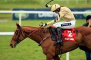 back-in-focus-pml-00110786