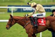 back-in-focus-pml-00110786