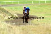 hurricane-fly-pml-00110803