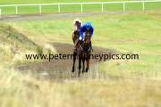 hurricane-fly-pml-00110803